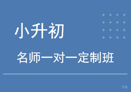 北京北京小升初一对一定制班