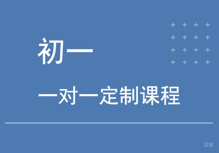 北京北京初一一对一定制课程