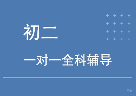 北京北京初二一对一全科辅导