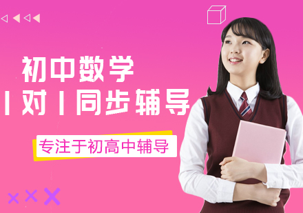 初中数学1对1同步辅导