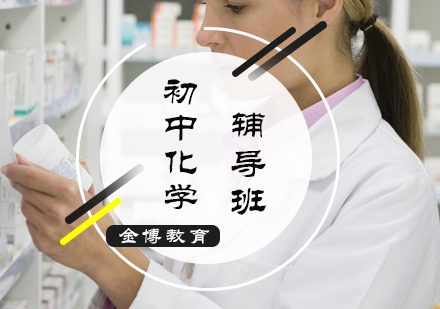 初中化学1对1辅导