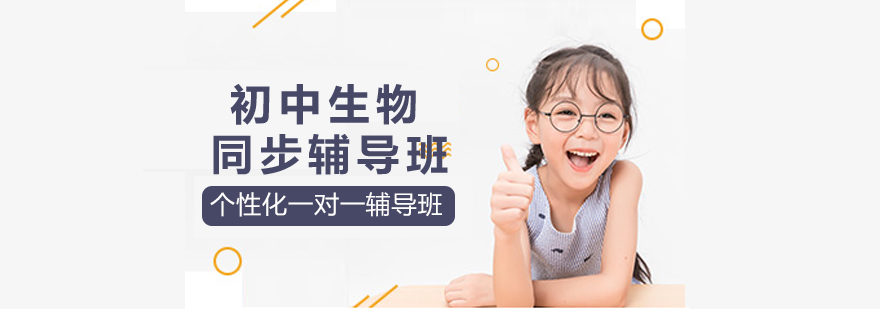 初中物理同步辅导班-北京初中物理学科辅导班