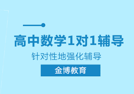 高中数学1对1辅导