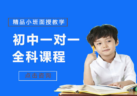 北京初中一对一全科课程辅导