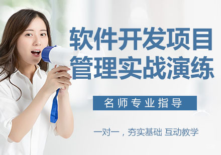 软件开发项目管理实战演练