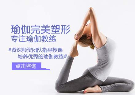 瑜伽完美塑形培训