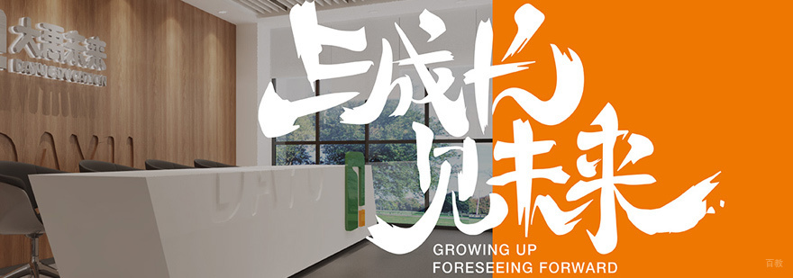 大禹未来教育怎么样
