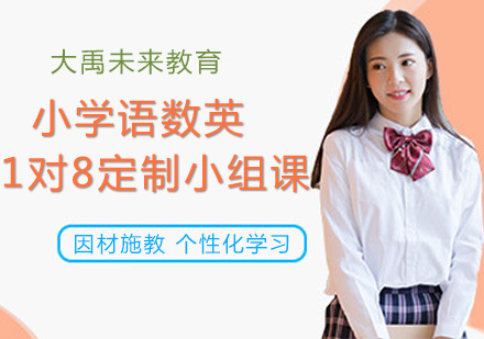 北京小学语数英1对8实战课堂