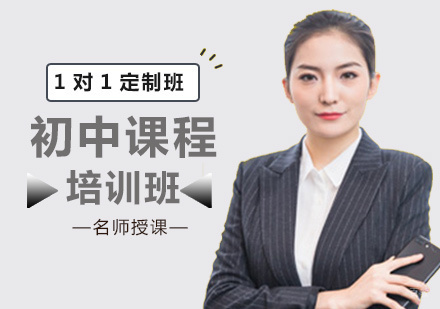 北京初中1对1定制辅导班