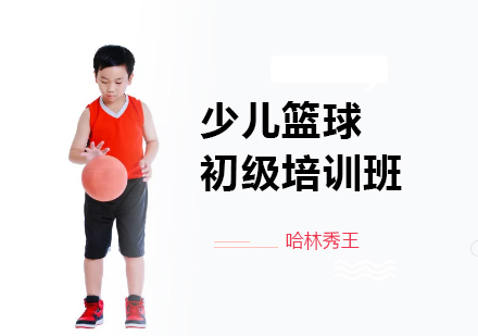北京体育运动少儿篮球初级培训班