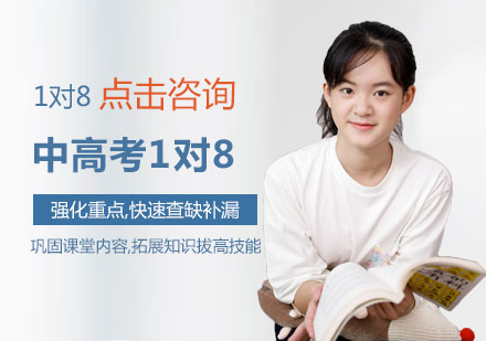 中高考1对8培训