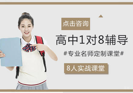 北京高中1对8课程辅导班