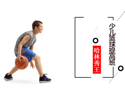 北京体育运动少儿篮球提高班