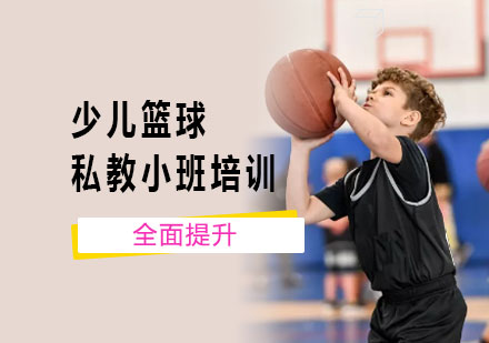 北京体育运动少儿篮球私教小班培训