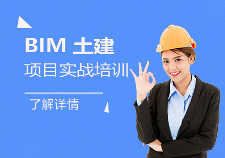 上海建造工程BIM土建培训
