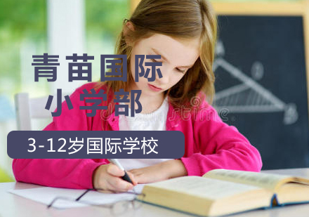 青苗国际小学