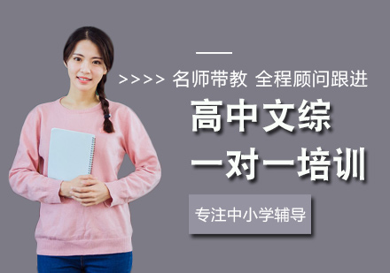 高中文综一对一培训
