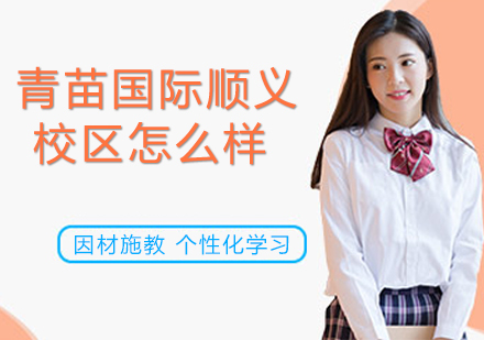 青苗国际顺义校区怎么样