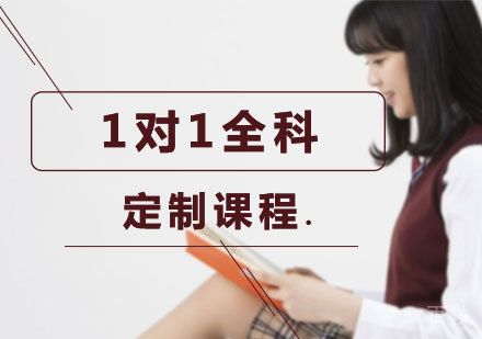 北京1对1全科定制课程培训