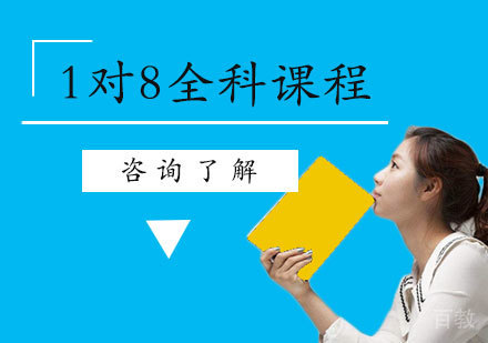 北京1对8全科课程培训