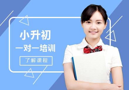 小升初一对一培训
