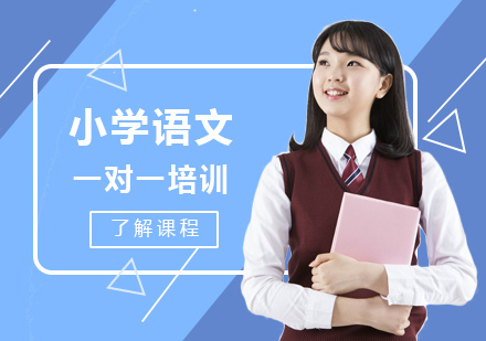 小学语文一对一培训