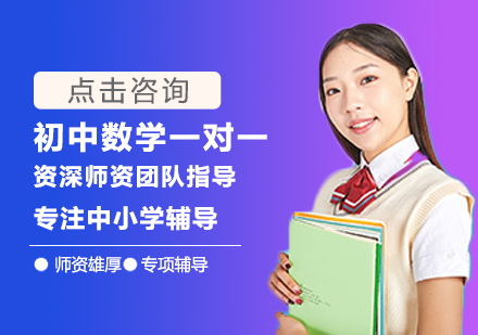 初中数学一对一培训