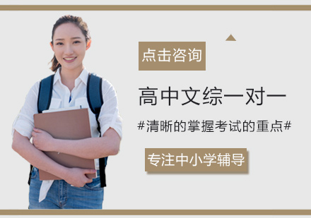 高中文综全科一对一培训