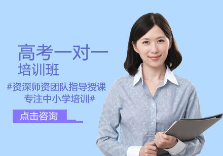 高考一对一培训