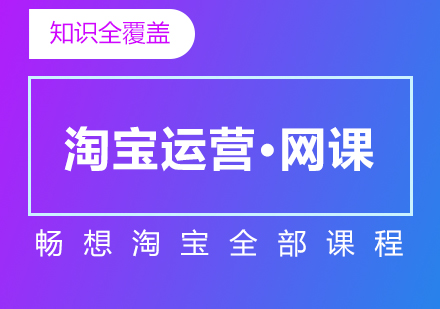 上海电商网销淘宝运营知识畅享全程辅导网课