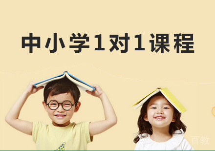 北京中小学1对1课程培训