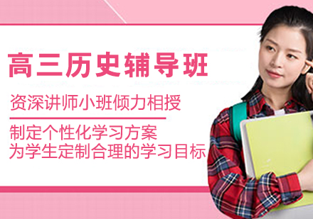 高三历史辅导全解析：从学情诊断到提分方案的定制化路径