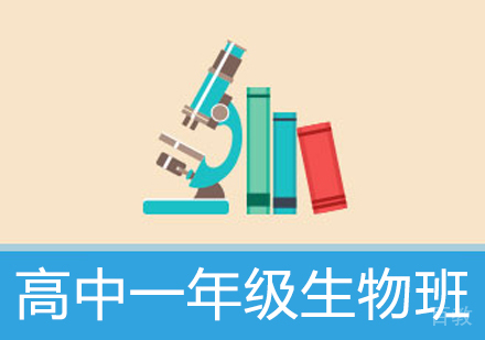 高中一年级生物辅导班