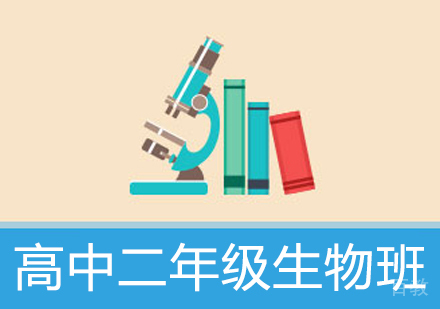 高中二年级生物辅导班