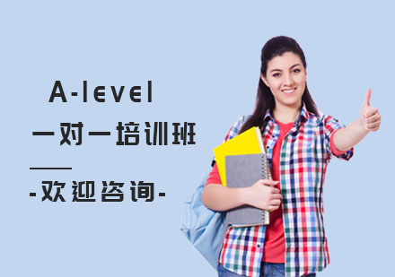 上海A-levelA-level一对一培训