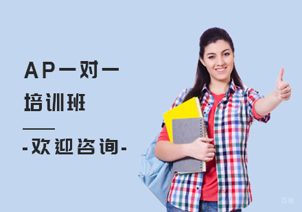上海AP一对一培训班