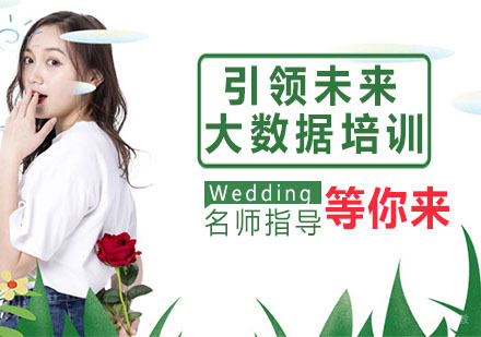 引领未来大数据培训