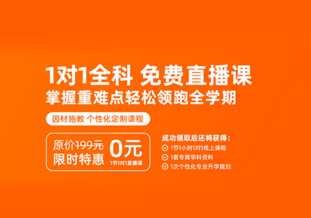 中小学在线一对一培训