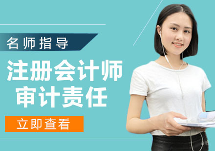 杭州注册会计师-注册会计师的审计责任是什么