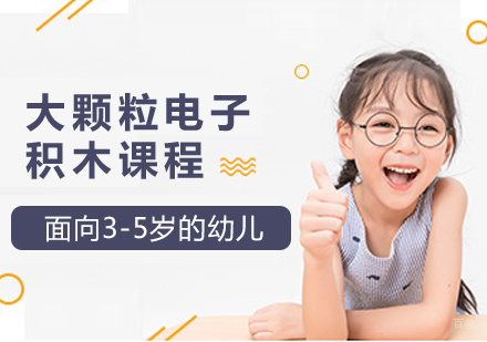 厦门大颗粒电子积木课程