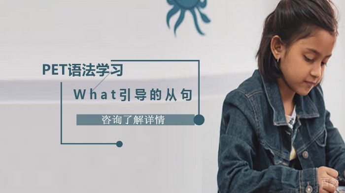 PET语法学习What 引导的从句