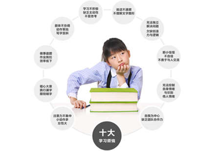 少儿综合学习力培训