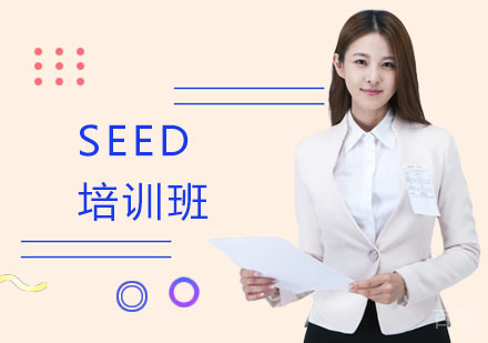 长沙SKD艺术留学_长沙SEED培训班