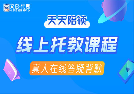 小学线上天天陪读课