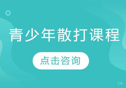 青少年散打课程