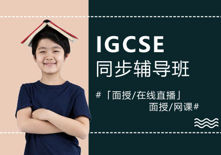 上海IGCSEIGCSE同步辅导班