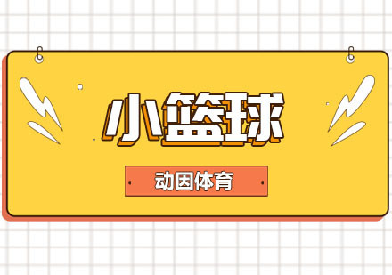 重庆小篮球班