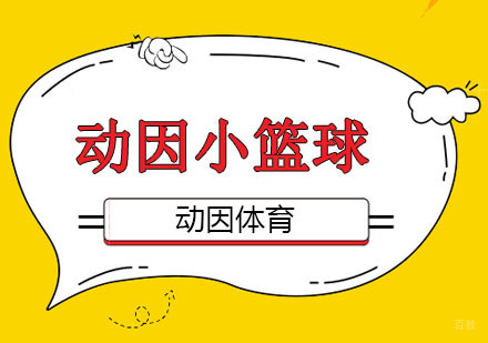 重庆体育项目训练-动因体育小篮球是什么？