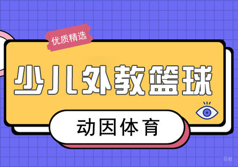 重庆体育项目训练-动因少儿外教篮球