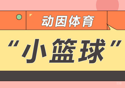 重庆体育项目训练-“小篮球”热潮来袭,动因体育上线小篮球课领跑幼儿篮球启蒙教育